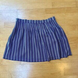 EUC Gap Womens Blue and White Zig-Zag/Chevron Pleated Skater Mini Skirt, Size 10